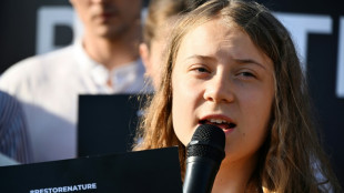 En Su&egrave;de, Greta Thunberg jug&eacute;e pour refus d'obtemp&eacute;rer