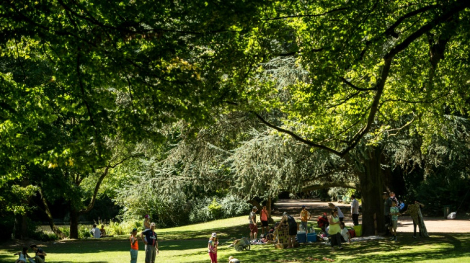 Plus de verdure, moins de pollution: en ville, la recette pour une meilleure santé