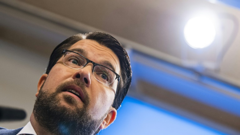 Chef der rechtsradikalen Schwedendemokraten nennt Erdogan "Diktator"