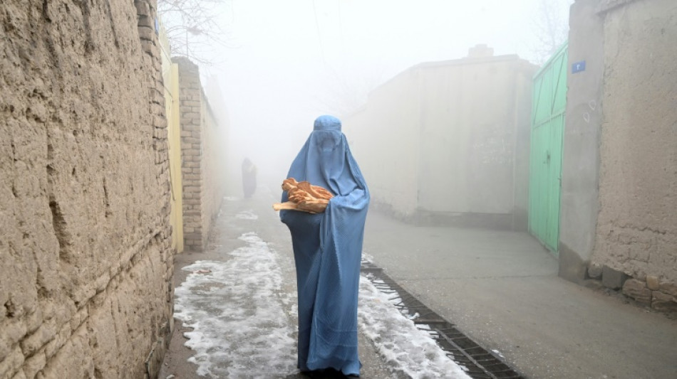 Talibanes llaman a los países musulmanes a reconocer al gobierno afgano