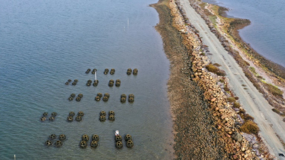 A San Diego, des r&eacute;cifs d'hu&icirc;tres contre la mont&eacute;e des eaux