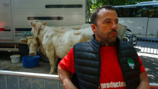 Accord UE-Mercosur: quel impact sur l'agriculture européenne ?