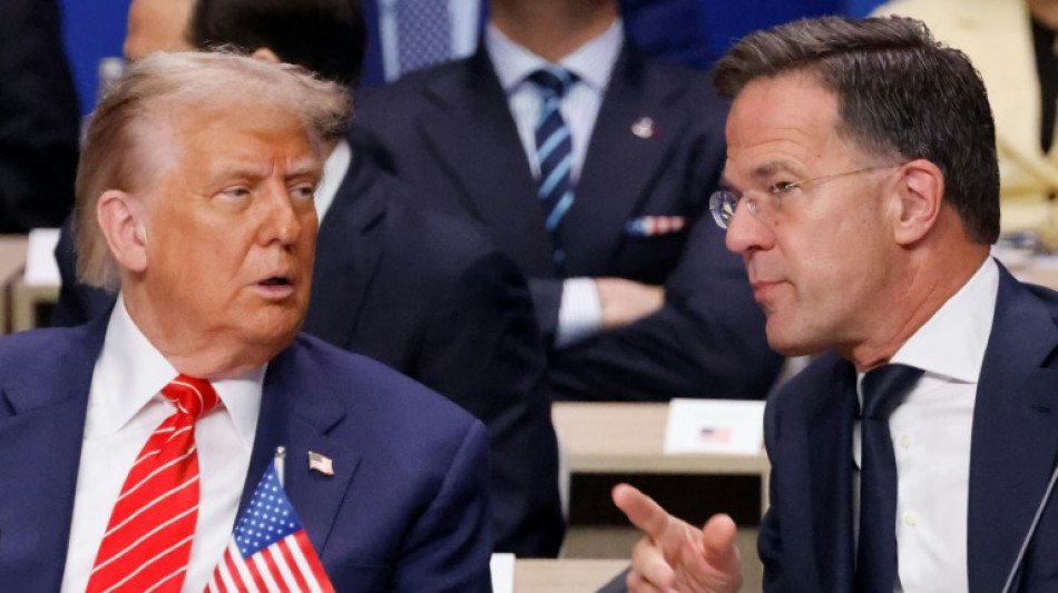 'Papai': Rutte usa elogio sem precedentes para se referir a Trump