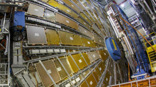 Visto al Cern un evento rarissimo, pu&ograve; indicare nuova fisica
