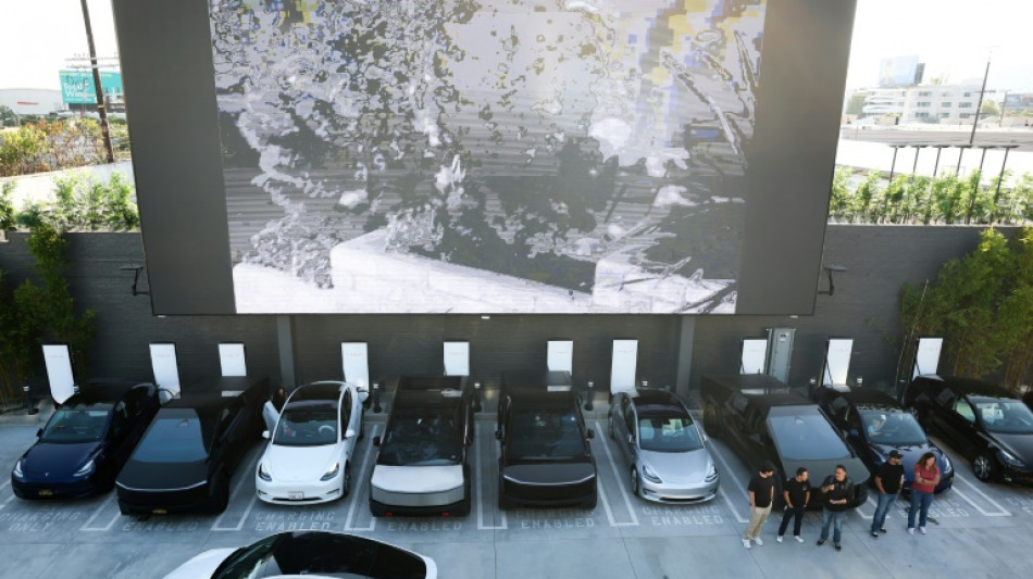 Tesla profits drop as Musk warns of 'rough' patch before riches