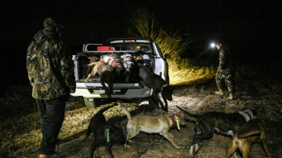 En Chine, des chasseurs de sanglier devenus stars des r&eacute;seaux sociaux
