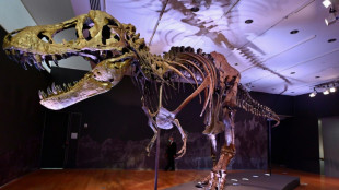 La mayor&iacute;a de los dinosaurios ten&iacute;an sangre caliente, como las aves