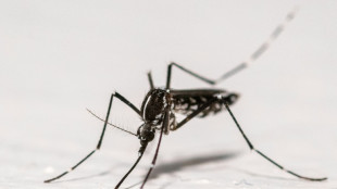 Chikungunya, dengue, Zika: plus de 210 cas import&eacute;s dans l'Hexagone depuis d&eacute;but mai