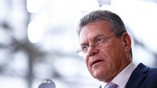 EU-Handelskommissar Sefcovic f&uuml;r Zoll-Verhandlungen in Washington