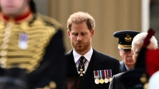 Le prince Harry dit s'&ecirc;tre toujours senti "diff&eacute;rent" du reste de la famille royale