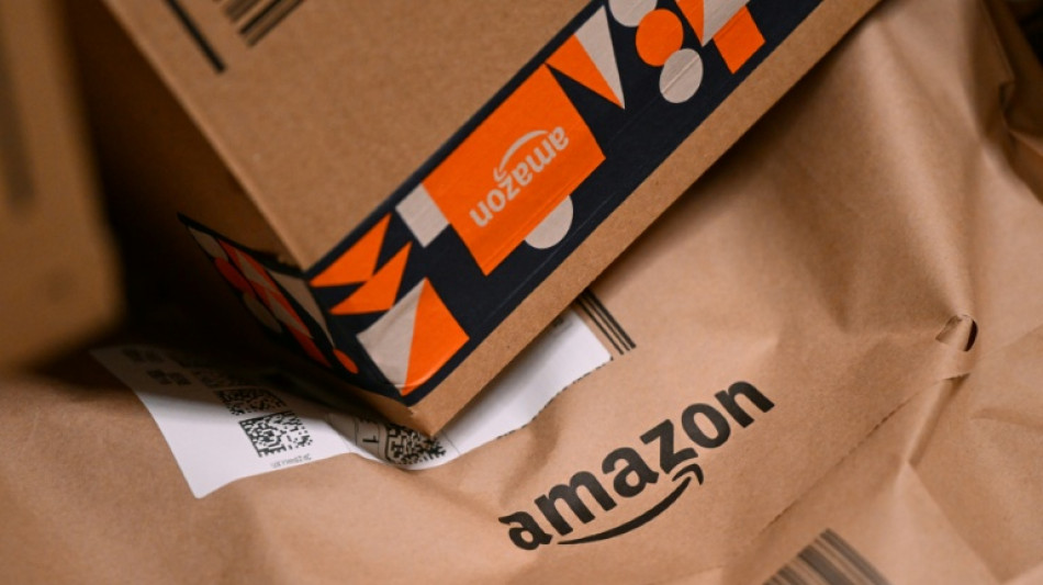 Marché du livre: Amazon évalue à 100 millions d'euros les frais de port payés par les Français