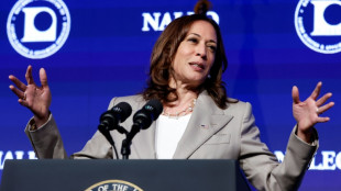 Kamala Harris habla a los latinos de EEUU de inflaci&oacute;n, seguridad e inmigraci&oacute;n 