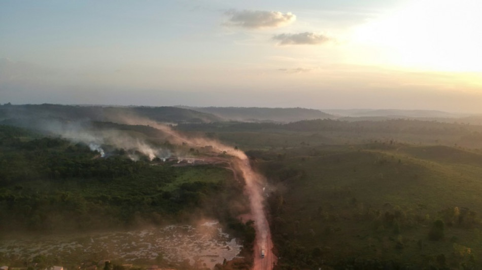 Piden a la UE que proh&iacute;ba importaciones de Brasil vinculadas a deforestaci&oacute;n