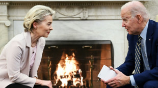 USA und EU streben Abkommen &uuml;ber kritische Mineralien an