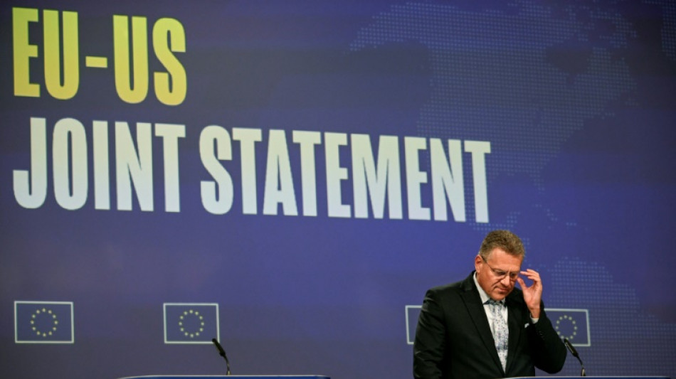 EU gets 15% US tariff for cars, but fails to get wine reprieve