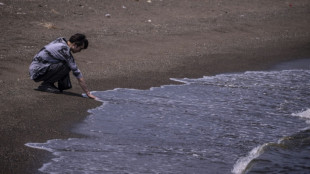 Ciudades de Jap&oacute;n sufren "d&iacute;as de calor cruel" por primera vez