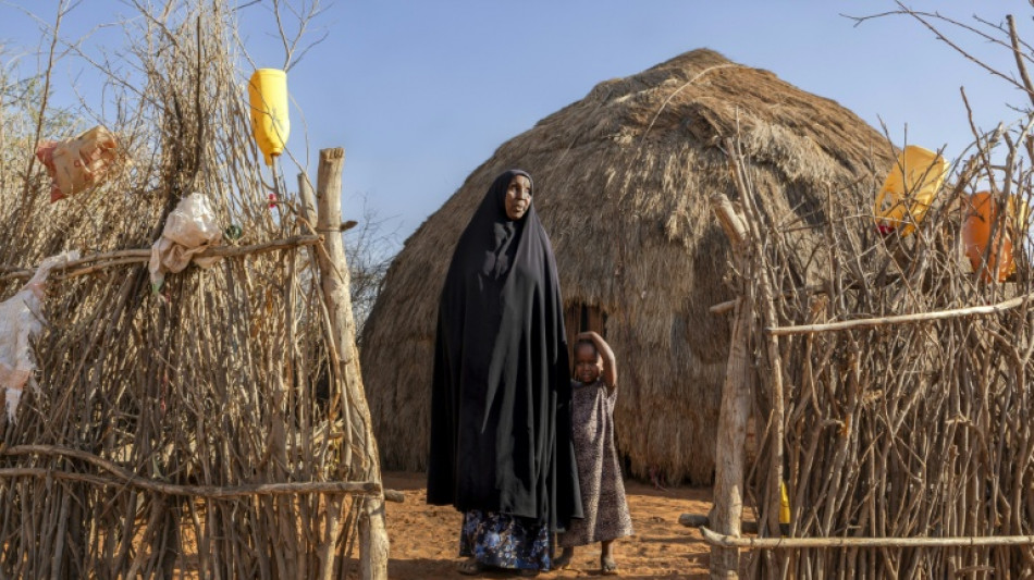 Kenya: le kala-azar, maladie m&eacute;connue et mortelle des zones arides