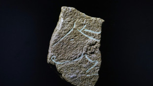 Des gravures pr&eacute;historiques contemporaines de Lascaux mises au jour aux portes de la Camargue