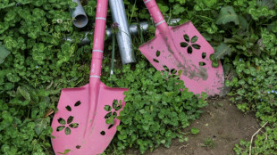 Recycling contaminated soil from Fukushima: Japan's dilemma