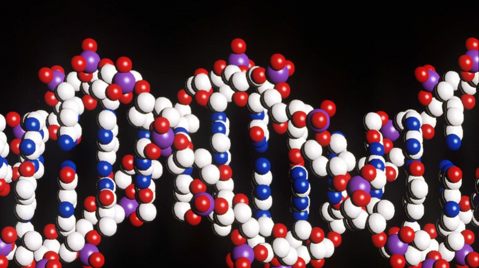 Dna pi&ugrave; rilevante del previsto nello sviluppo della personalit&agrave;