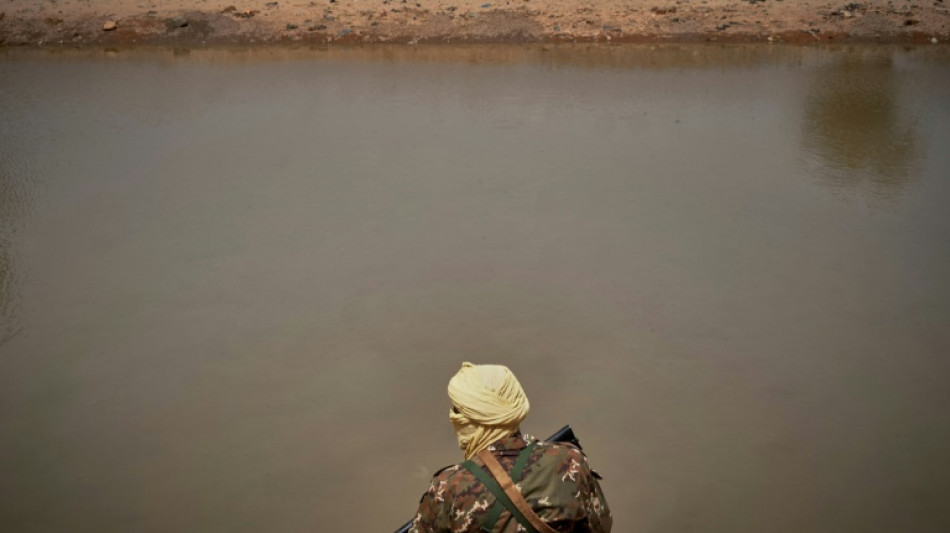 Mali: l'arm&eacute;e dit avoir tu&eacute; "203 combattants" dans une op&eacute;ration au Sahel