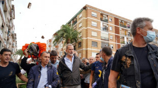 Menschen in spanischem Hochwassergebiet bereiten K&ouml;nigspaar w&uuml;tenden Empfang