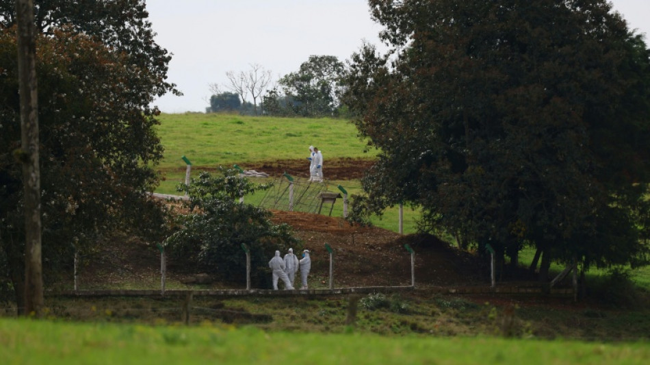 México e Chile suspendem importação de frango brasileiro após caso de gripe aviária