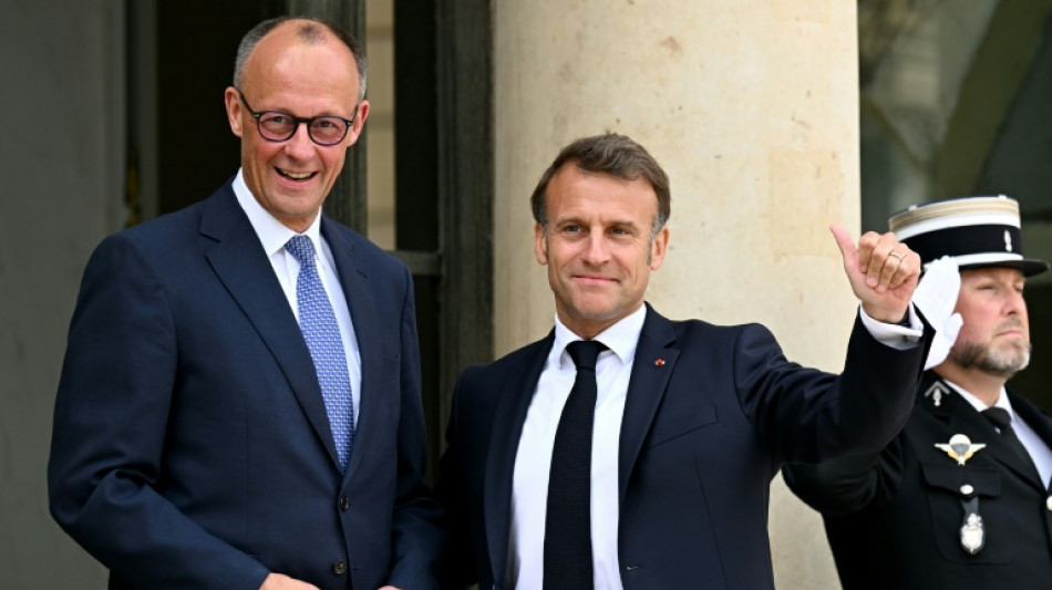 Macron et Merz veulent "r&eacute;pondre ensemble" aux d&eacute;fis de l'Europe