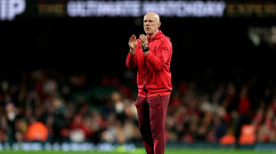 Tandy makes wholesale Wales changes for Springboks