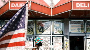 La clandestinit&eacute;, le Canada ou les gangs? "Panique" chez les migrants ha&iuml;tiens aux Etats-Unis 