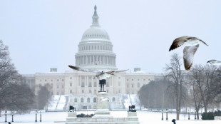 USA: Heftiger Wintersturm sorgt f&uuml;r massive Stromausf&auml;lle und Einschr&auml;nkungen