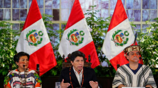 El Congreso de Per&uacute; admite una denuncia de la fiscal&iacute;a contra el presidente Castillo