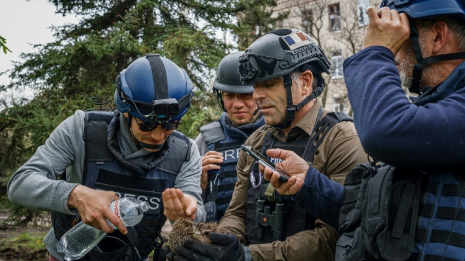 En Ukraine, la petite histoire de h&eacute;risson du reporter de l'AFP Arman Soldin