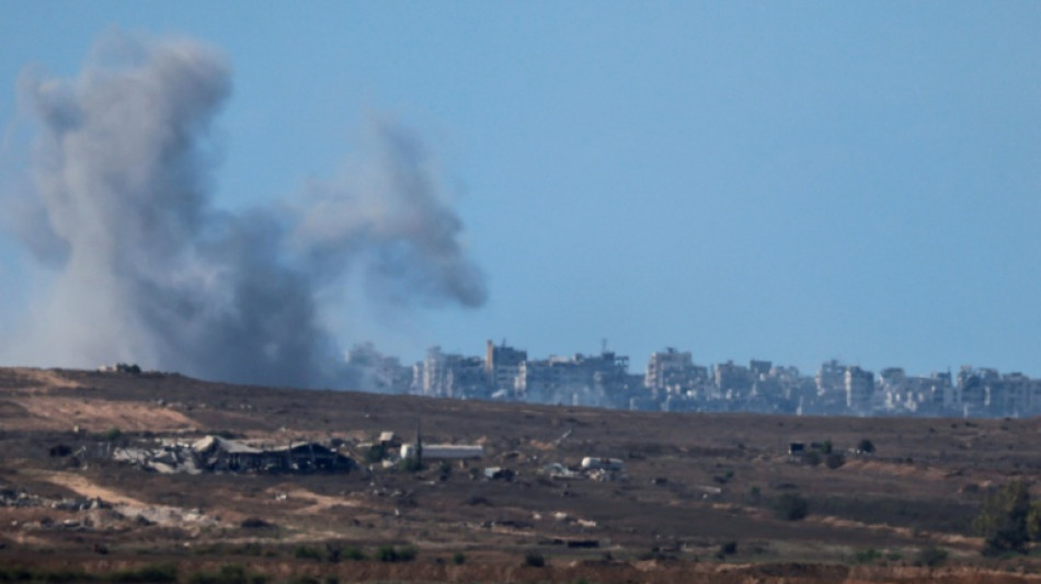 El rey de Espa&ntilde;a denuncia "el sufrimiento indecible de cientos de miles inocentes" en Gaza