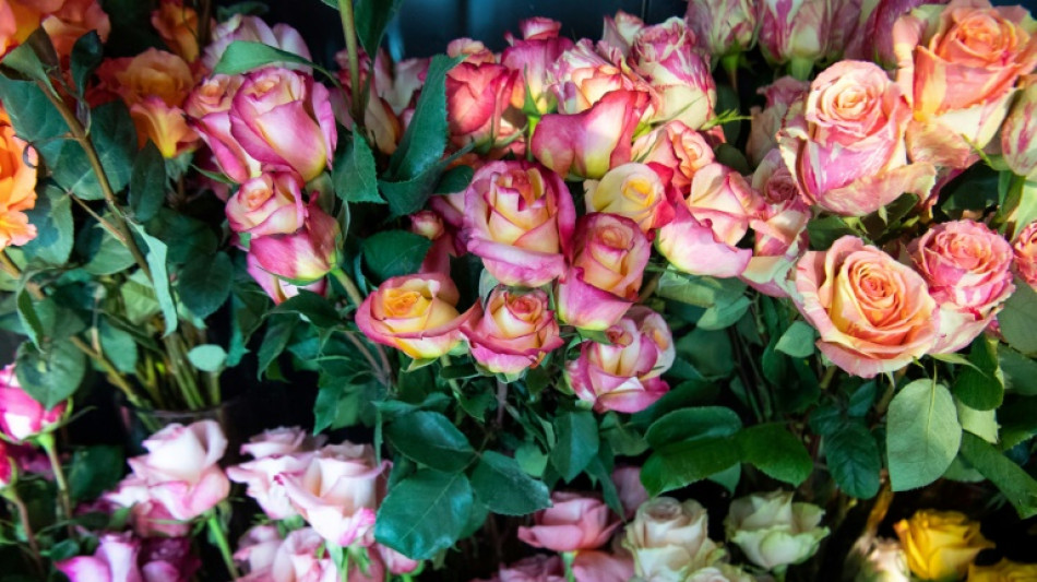 D&iacute;a de los Enamorados: mensajes de amor, bombones para ellos y dinero por doquier