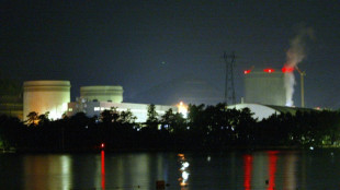 Unternehmen prüft Bau von erstem Atomreaktor in Japan seit Fukushima