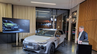 D&ouml;llner, il primo modello di Audi con tecnologia Sdv nel 2028