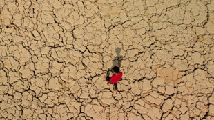 Miles de desplazados en el sur de Irak por la sequ&iacute;a 