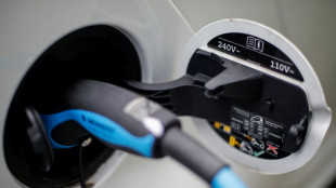Bericht: Neuzulassungen bei E-Autos k&ouml;nnten 2024 auf Niveau von 2021 fallen