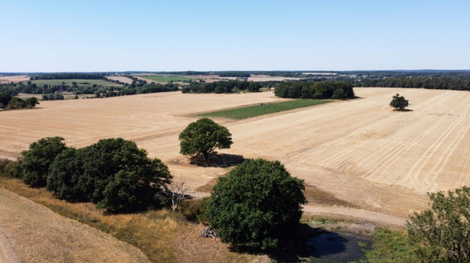 Una buena parte de Inglaterra declarada en estado de sequ&iacute;a