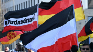 Bundesregierung stellt Verfassungsbericht f&uuml;r das Jahr 2024 vor