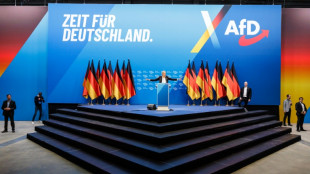 Allemagne: le d&eacute;bat sur le parti AfD, class&eacute; "extr&eacute;miste de droite", est relanc&eacute;