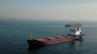 UNO besorgt &uuml;ber drohendes Ende des Getreideabkommens zwischen Kiew und Moskau