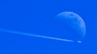 Los beneficios de Airbus caen por las bajas entregas de aviones comerciales