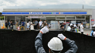 Pueblo japon&eacute;s instala una barrera para bloquear una popular vista del monte Fuji