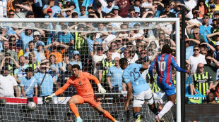 Palace stun Man City to win FA Cup for first time