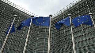 UE: les discussions "avancent" sur les hubs pour le renvoi de migrants en Afrique