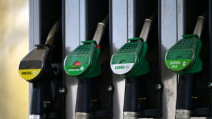 Gr&uuml;nes Licht in Bundestag und Bundesrat: Tankrabatt kann zum 1. Mai kommen