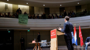 Protesters disrupt Macron speech on Dutch state visit
