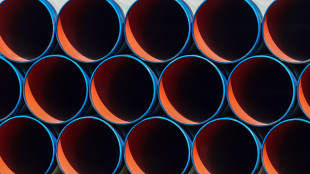 Descalzi (Eni), 'prezzo gas? Stabile ma va verso crescita'